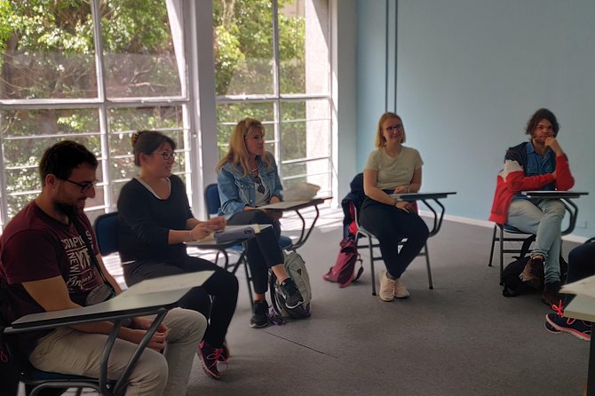 Spanish Intensive Group Classes 20 Hours per Week at Vamos Academy Buenos Aires - Course Details