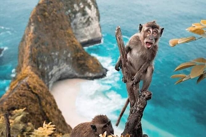 Speedboat From Bali To Lombok, Gili Trawangan And Gili Air - Good To Know