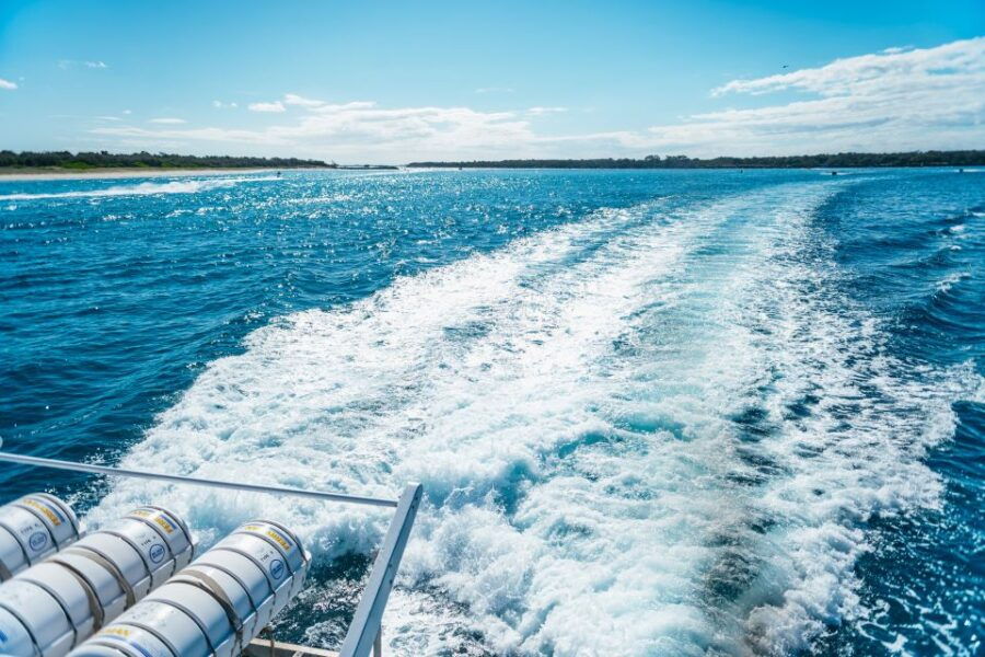 Spirit of Gold Coast 2.5-Hour Whale Watching Tour - Good To Know
