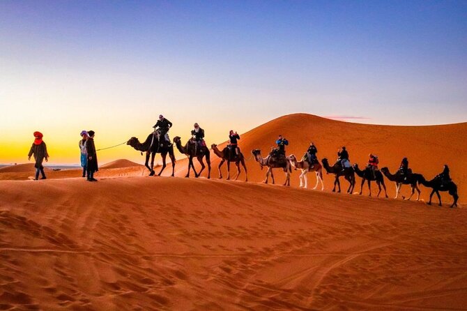 Splendors of Morocco 9 Days - Day 1: Arrival in Morocco