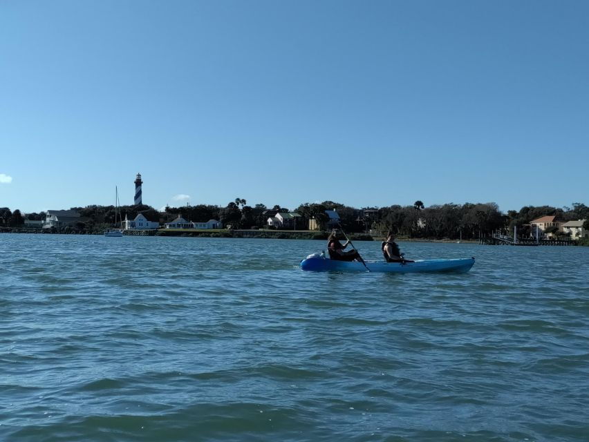 St. Augustine: Deluxe Dolphin-Watching Kayak Tour - Good To Know