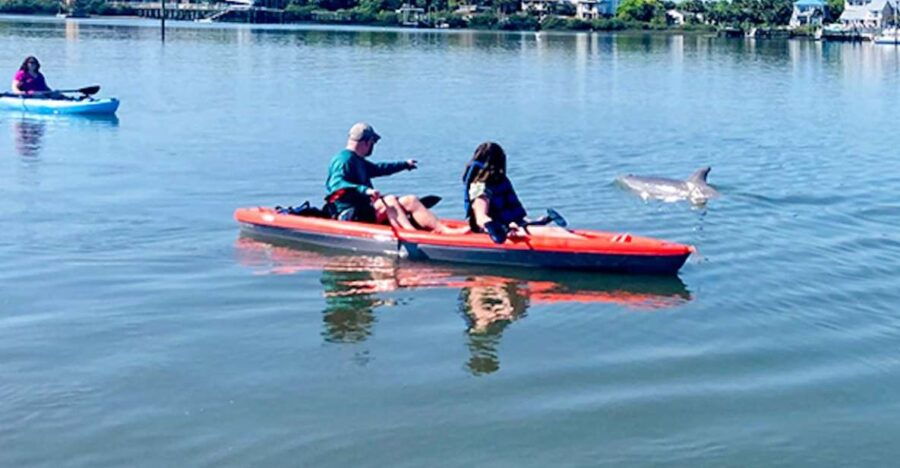 St. Augustine: Dolphin and Manatee Paddle or Kayak Tour - Good To Know