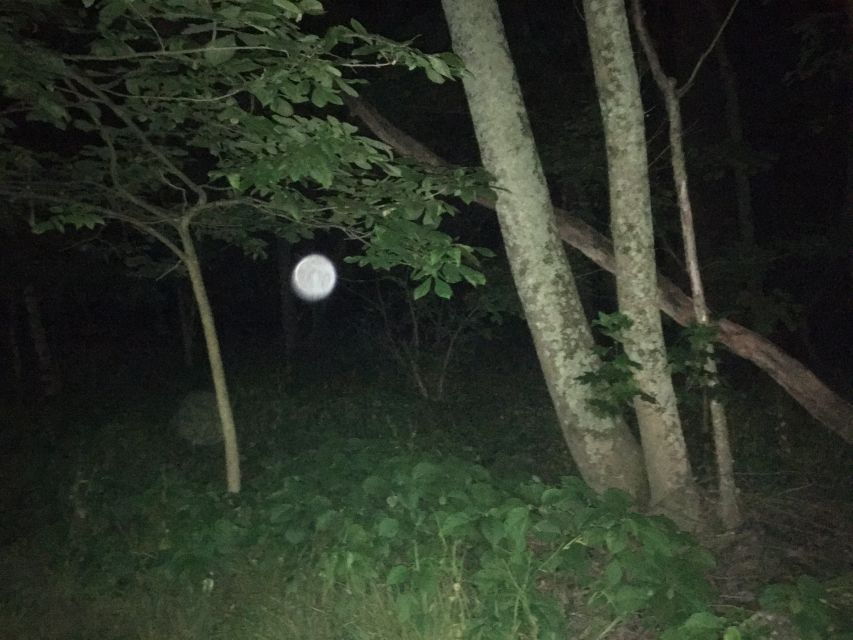 St. Augustine: Evening Paranormal Investigation Tour - Good To Know