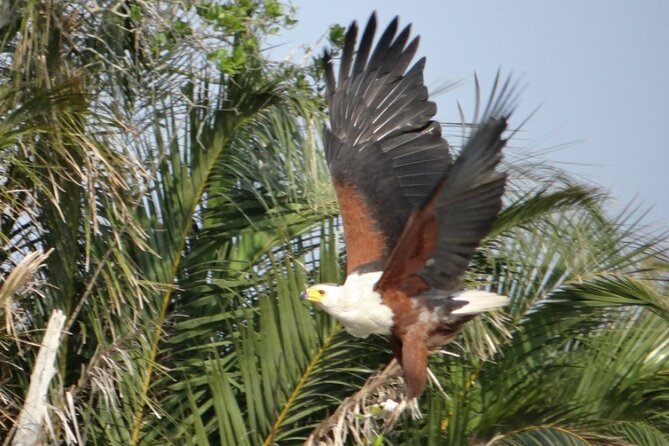 St Lucia Day Tour – Isimangaliso Wetland Park