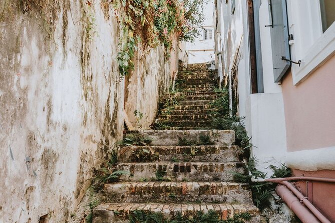 St. Thomas Cultural Tour With Rum Ball Making & Tasting