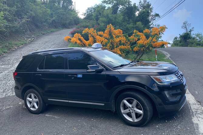 St. Thomas Private Airport Transfer Service - St Thomas