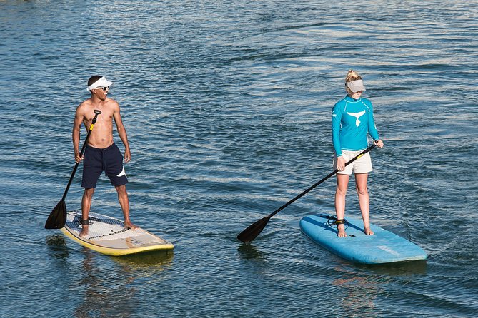 Stand Up Paddle Board Knysna Hire 1hr