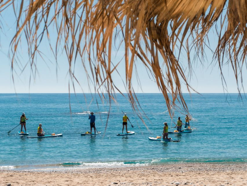 Stegna Beach: Stand Up Paddle Boarding for Beginners - Good To Know