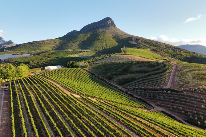 Stellenbosch & Franschhoek Full Day Wine Shared Tour - Tour Highlights