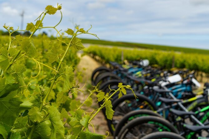 13 Best Bike Tours In Stellenbosch