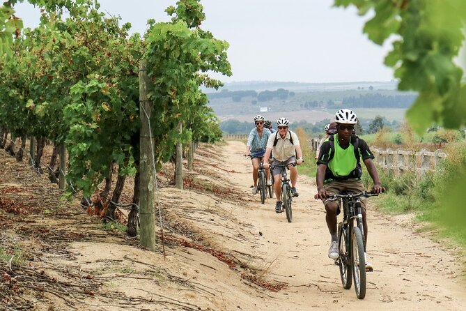 Stellenbosch Winelands Luxury Ebike Tour - Good To Know