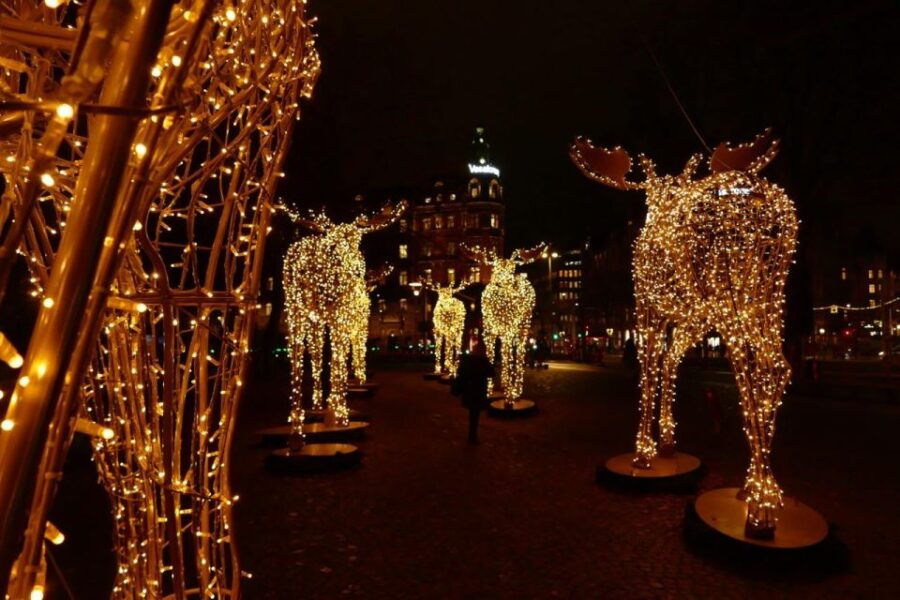 Stockholm: Christmas Lights and Market Walking Tour - Good To Know