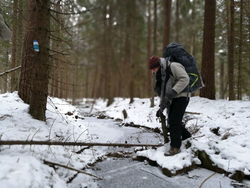 Stockholm: Winter Nature Hike With Campfire Lunch - Good To Know