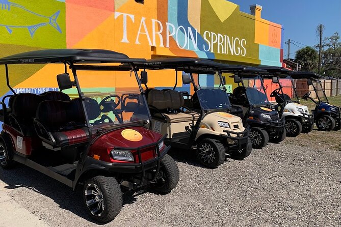 Street Legal Golf Cart 3 Hour Rental in Tarpon Springs