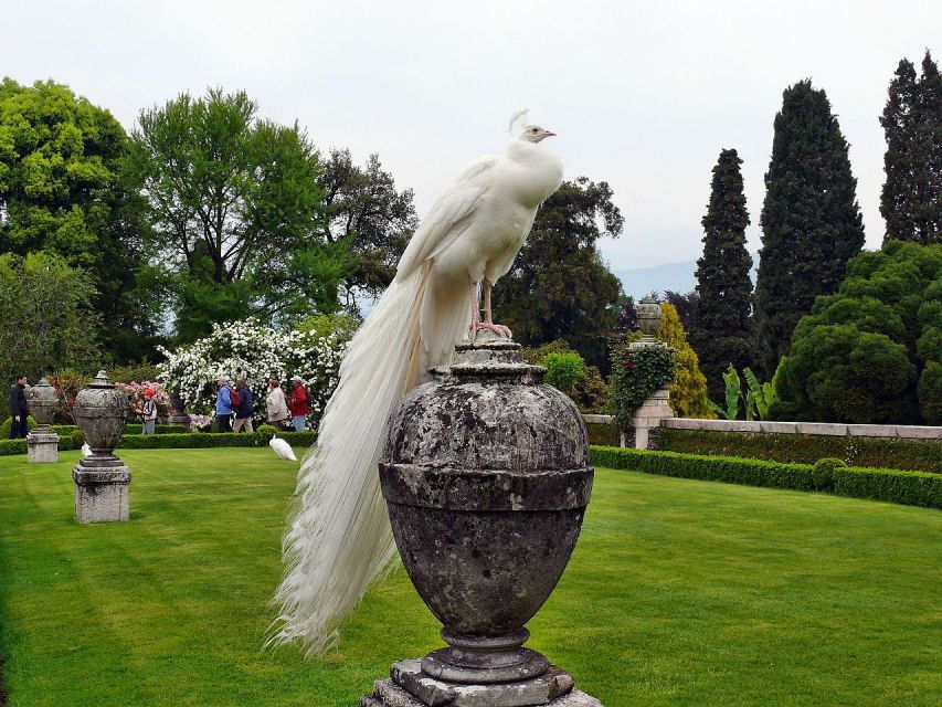 Stresa: Madre & Bella Borromean Islands Boat Trip - Good To Know