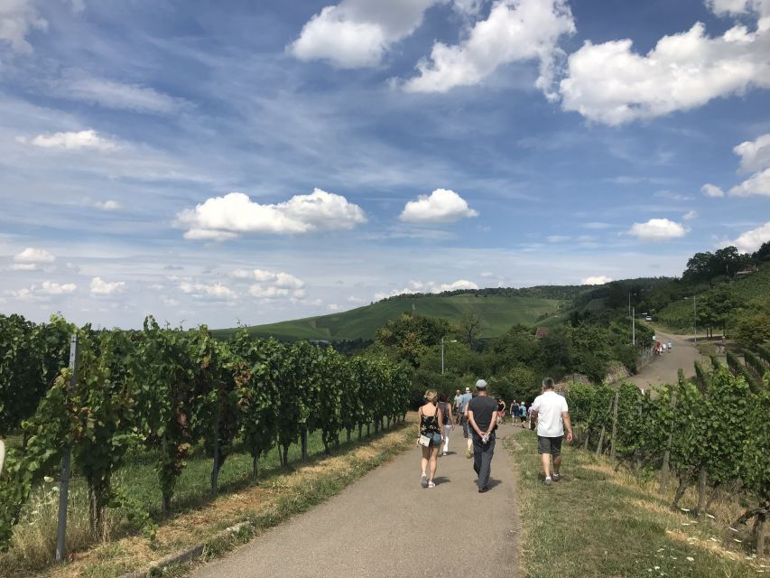 Stuttgart: 2-Hour Vineyard Hike With Tastings