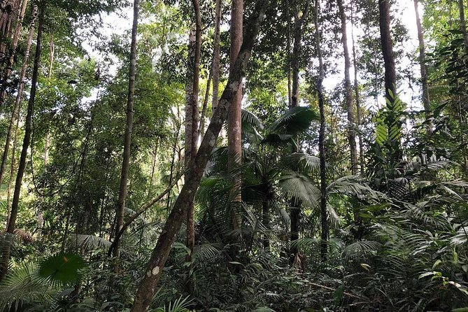 5 Best Tours In Manado