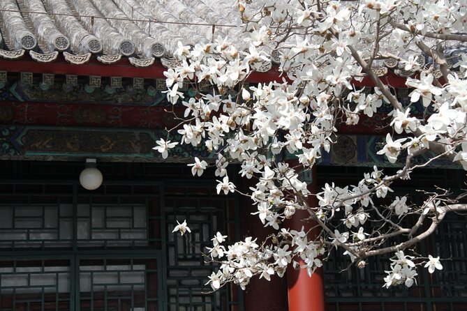 Summer Palace Tickets Booking Optional Guide Service - Good To Know