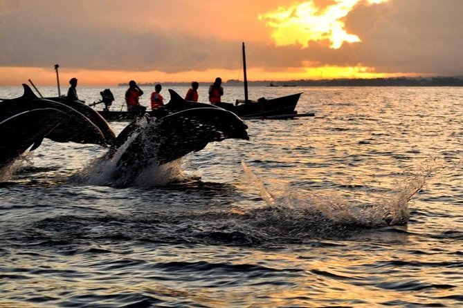 Sunrise Dolphin Wacthing & Menjangan Island Snorkeling Day Trip - Good To Know