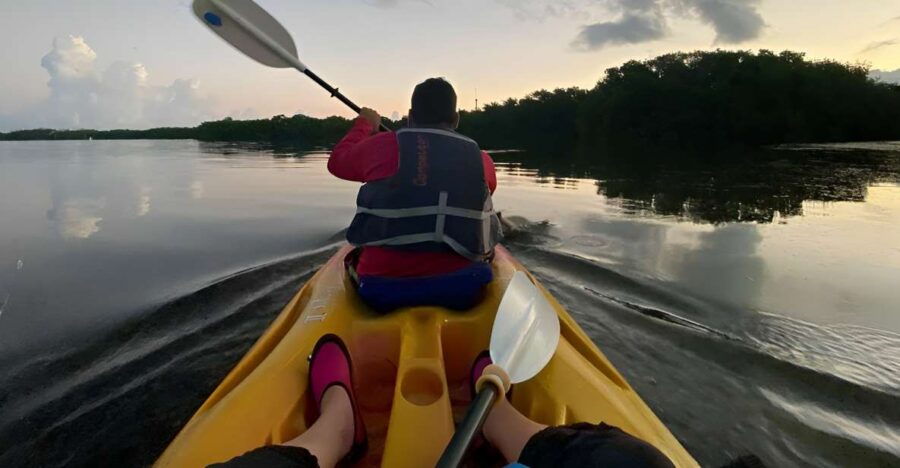 Sunrise Kayak Tour by Wayak Tour - Good To Know