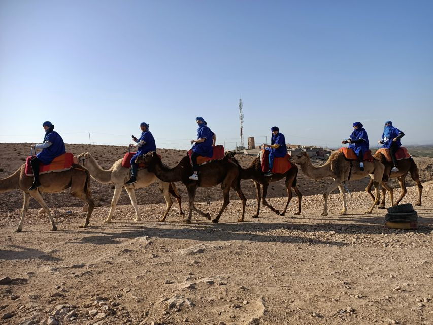 Sunset Camel Ride in Agafay Desert From Marrakech - Camel Information
