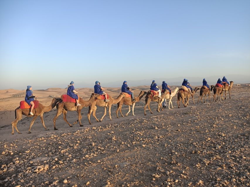 Sunset Camel Ride In Agafay Desert With Dinner - Good To Know