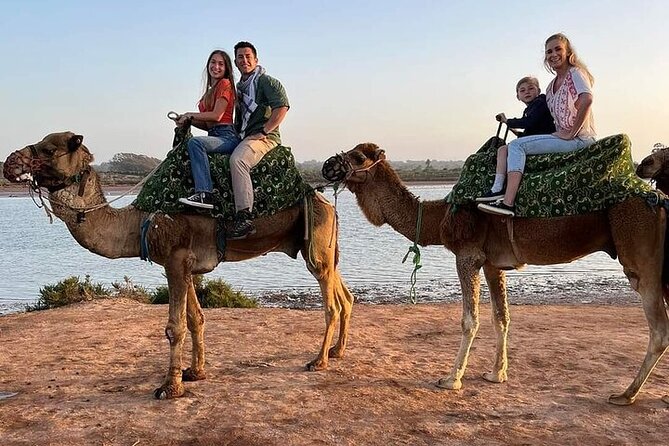 Sunset Camel With Barbecue Dinner - Overview of the Sunset Camel Experience