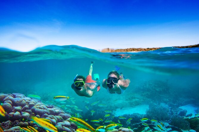 Sunset Catamaran Cruise, Snorkeling and Ricks Cafe - Snorkeling off Negrils Coast