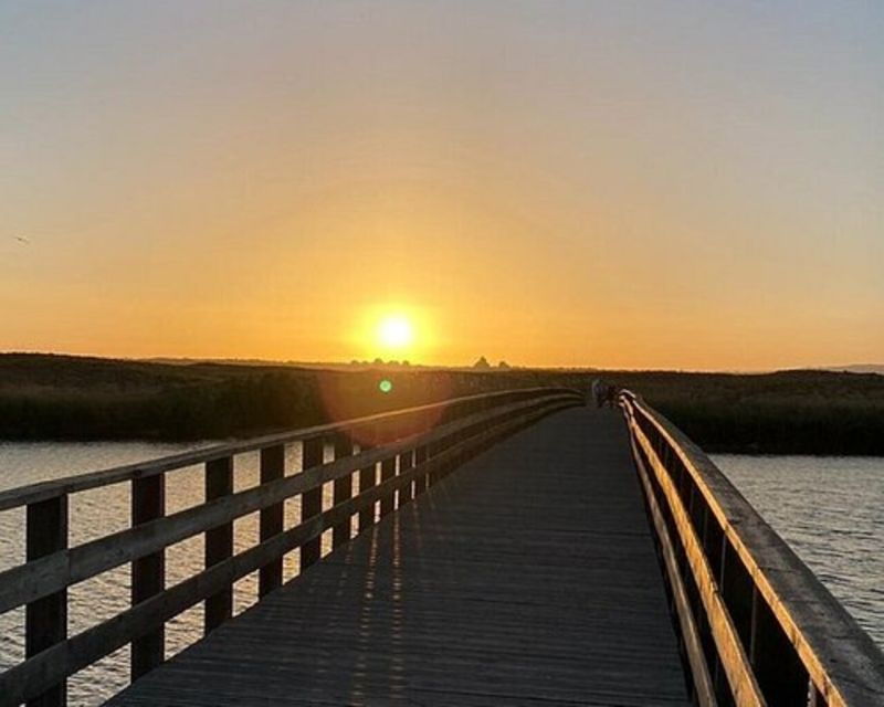 Sunset Coast Tour W/ Champagne & Dinner
