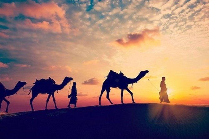 Sunset Desert Safari Trip by Quad Bike From Marsa Alam - Good To Know