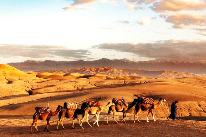 Sunset Dinner in Marrakech Desert With Camel Ride
