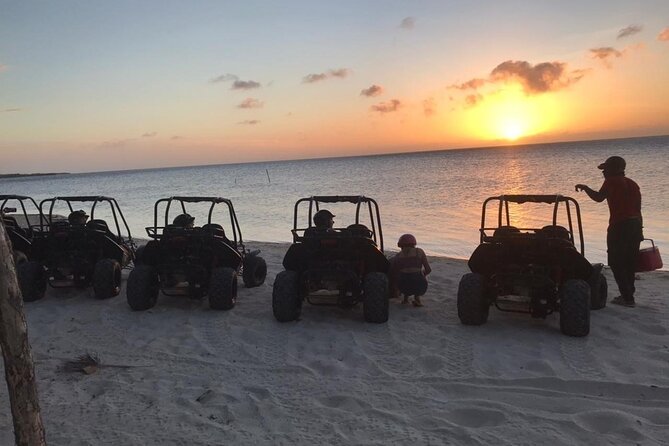 Sunset Dune Buggy Tour & Rescued Monkeys Sloths Park Adventure(min 2) - Good To Know