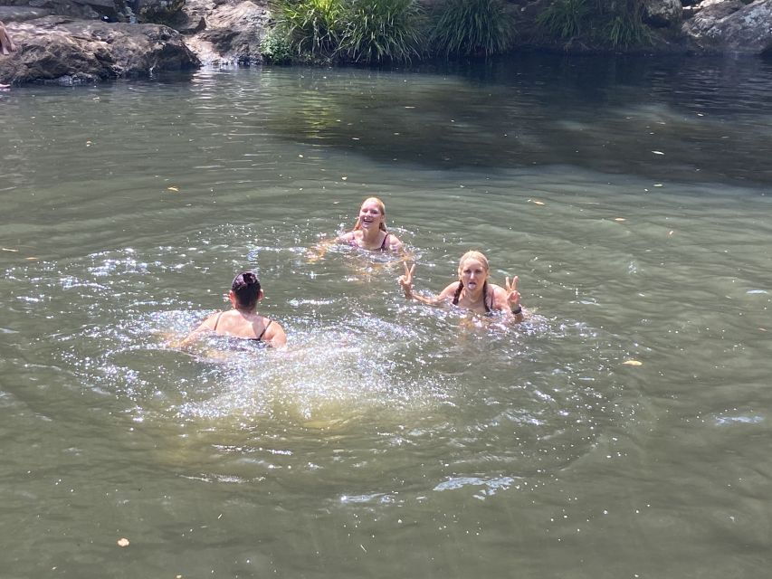 Sunshine Coast: Maleny Village and Kondalilla Falls Tour