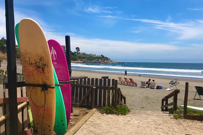 Surfing, Sandboarding & Wild Sea Lions Chilean Drinks & Food - Surfing and Sandboarding Adventures