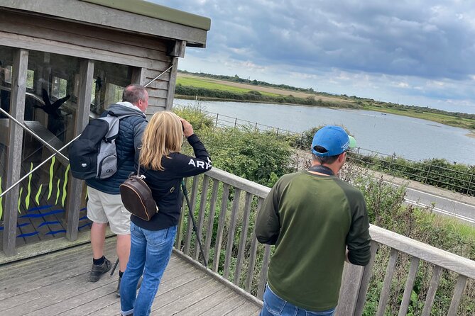 Sussex Birdwatching Private Guided Day Tour