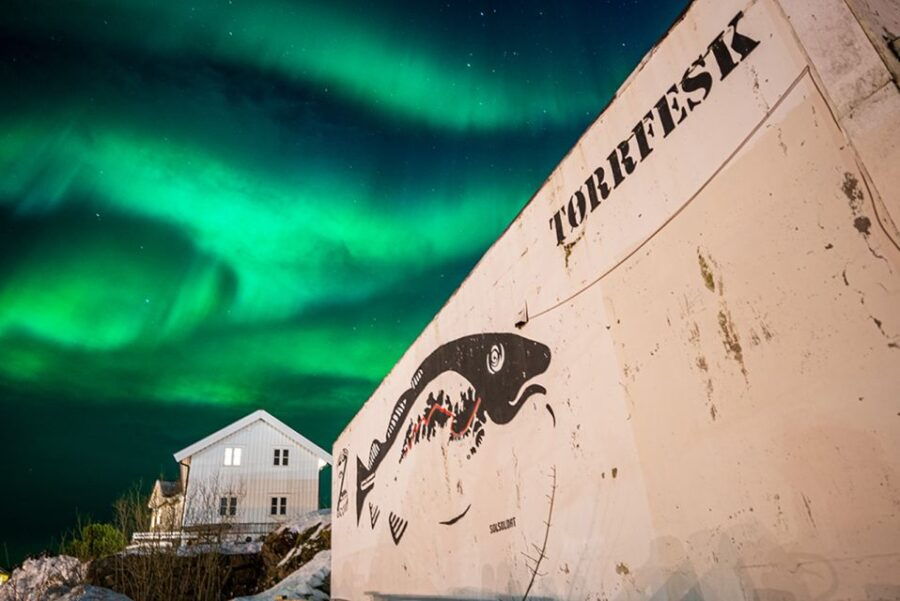 Svolvær: Lofoten Northern Lights Hunt by Van With Snacks