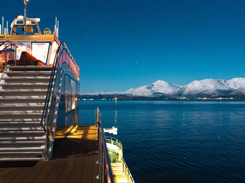 Svolvær: Northern Lights and Full Steam Cruise With Tasting - Good To Know