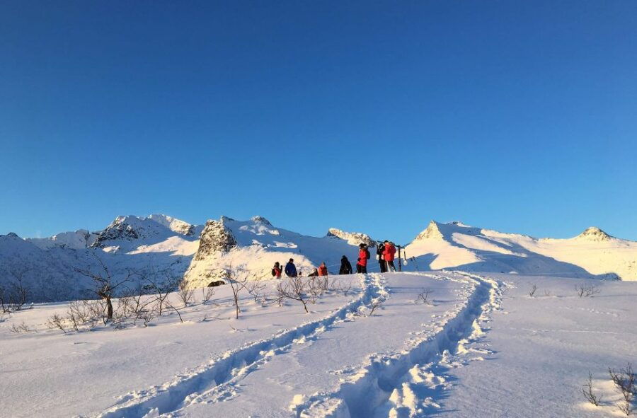 Svolvær: Snowshoe Nature Explorer - Good To Know