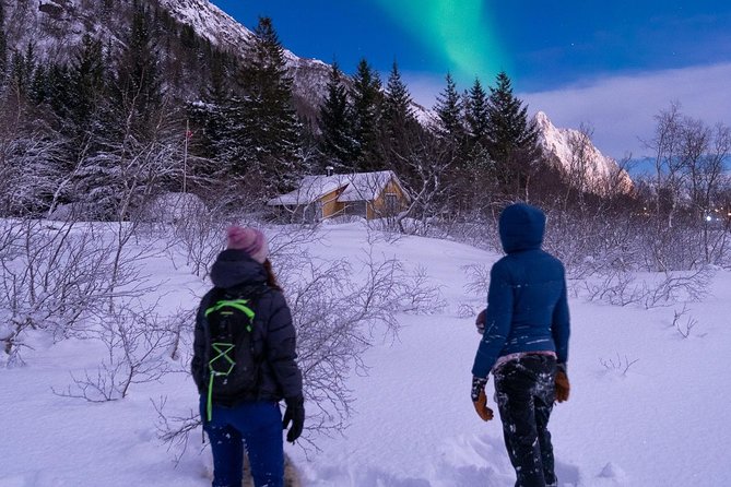 Svolvær Snowshoes Walk by Night - Cancellation Policy