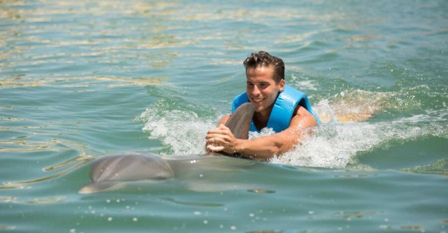 Swim With Dolphins Ride - Playa Mujeres - Good To Know