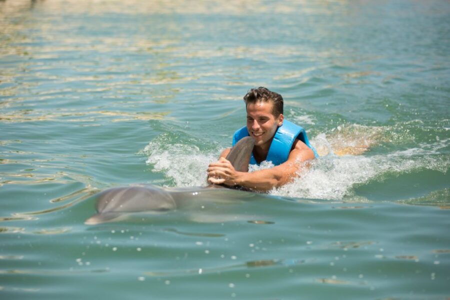 Swim With Dolphins Ride - Puerto Morelos - Good To Know