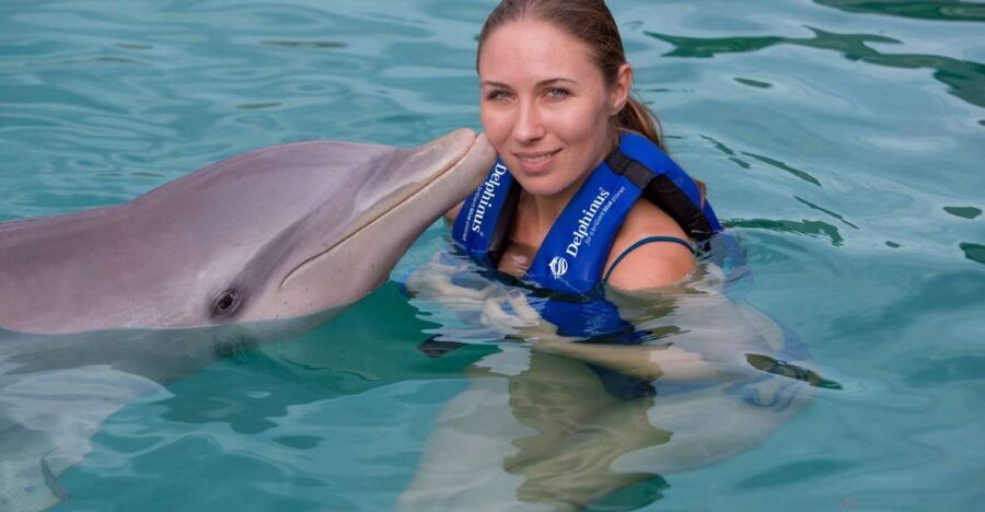 Swim With Dolphins Splash - Puerto Morelos - Good To Know