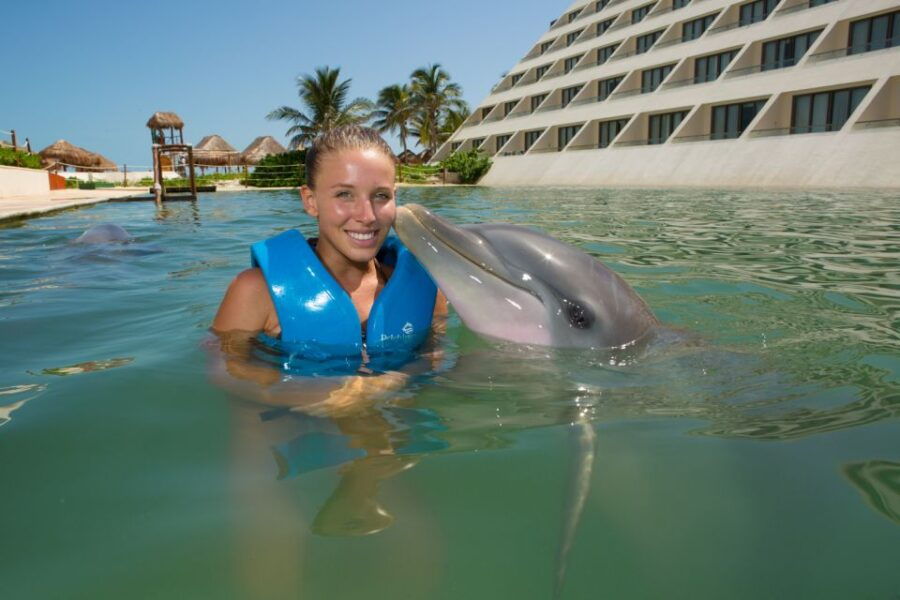 Swim With Dolphins Splash - Punta Cancun - Good To Know