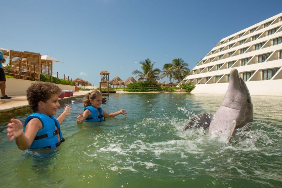 Swim With Dolphins Supreme - Punta Cancun - Good To Know