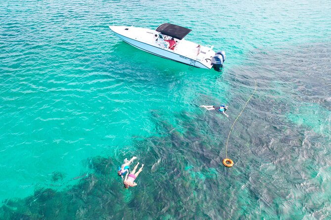 Swimming Pigs Island Turtles and Snorkeling Excursion 4 Stops