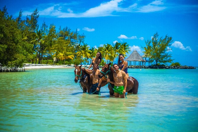 Swimming With Horses at the Beach From Punta Cana Free Transportation - Good To Know