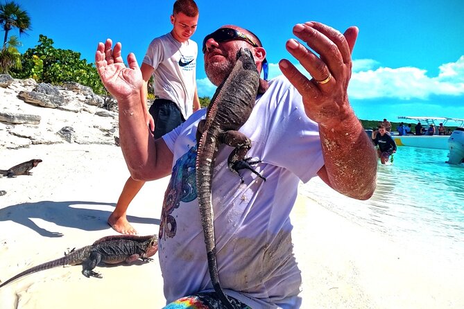 Swimming With Pigs in Exuma Private Tour From Nassau
