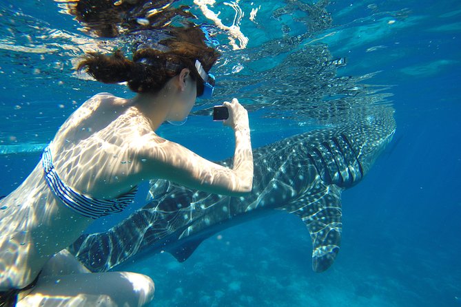 Swimming With Whale Sharks and Island-Hopping to Sumilon Island - Good To Know