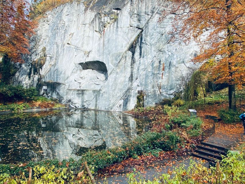 Best Safari Tours In Lucerne