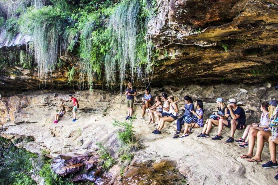 Sydney: Blue Mountain Sunset, Bushwalk & Wilderness Tour - Good To Know